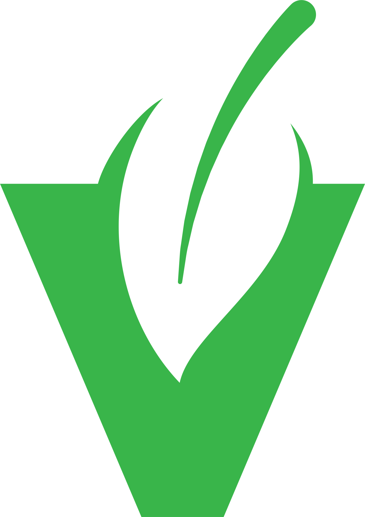 VEGAN vegan