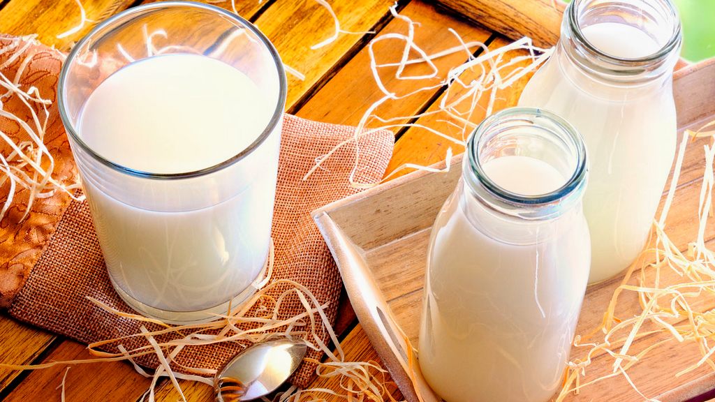 Verbrauchen Veganer Milch?